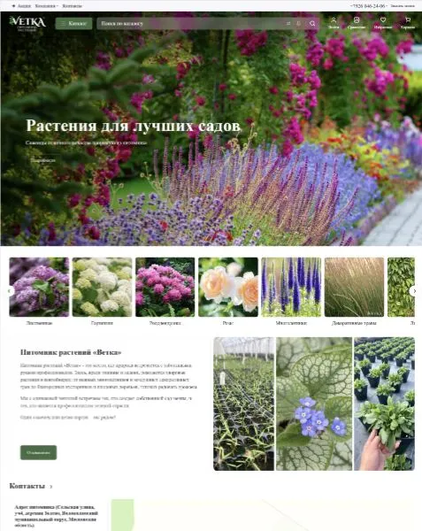 Интернет-магазин растений "Ветка"